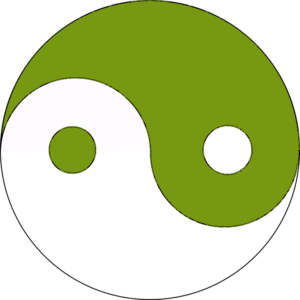 yin-and-yang-145874_960_720gr